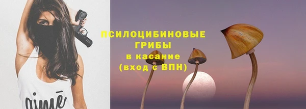 стаф Баксан