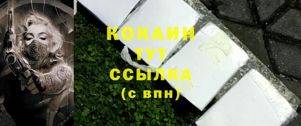 стаф Баксан